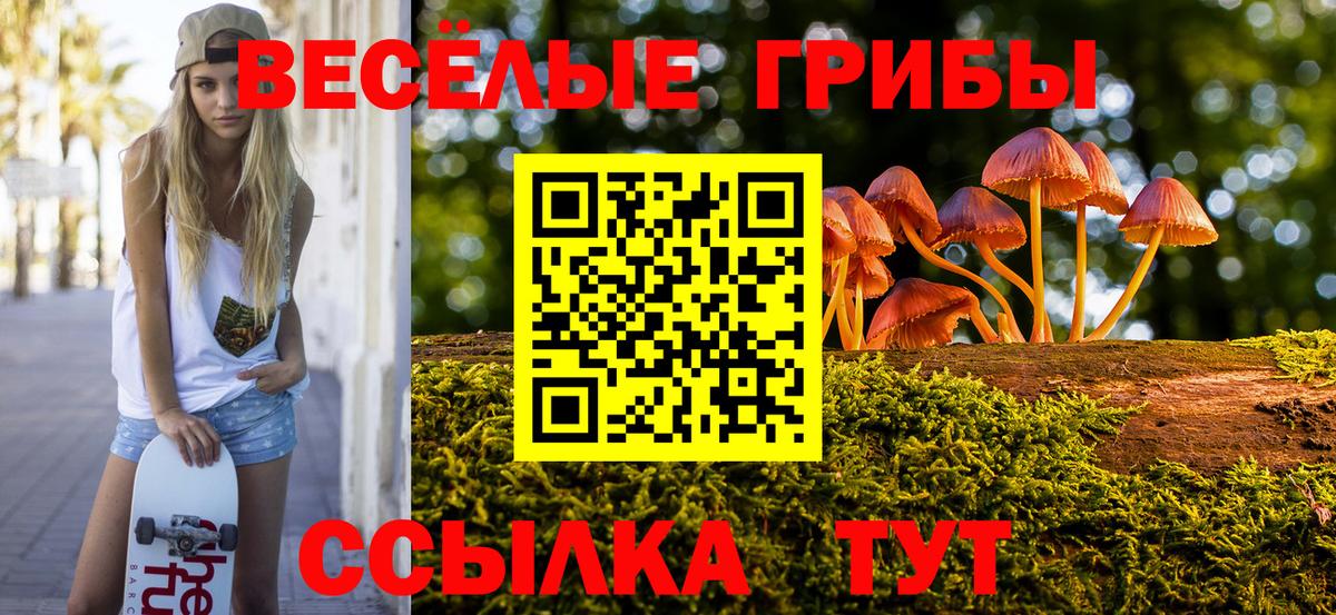 Псилоцибиновые грибы мухоморы  Вход с VPN  Междуреченск 
