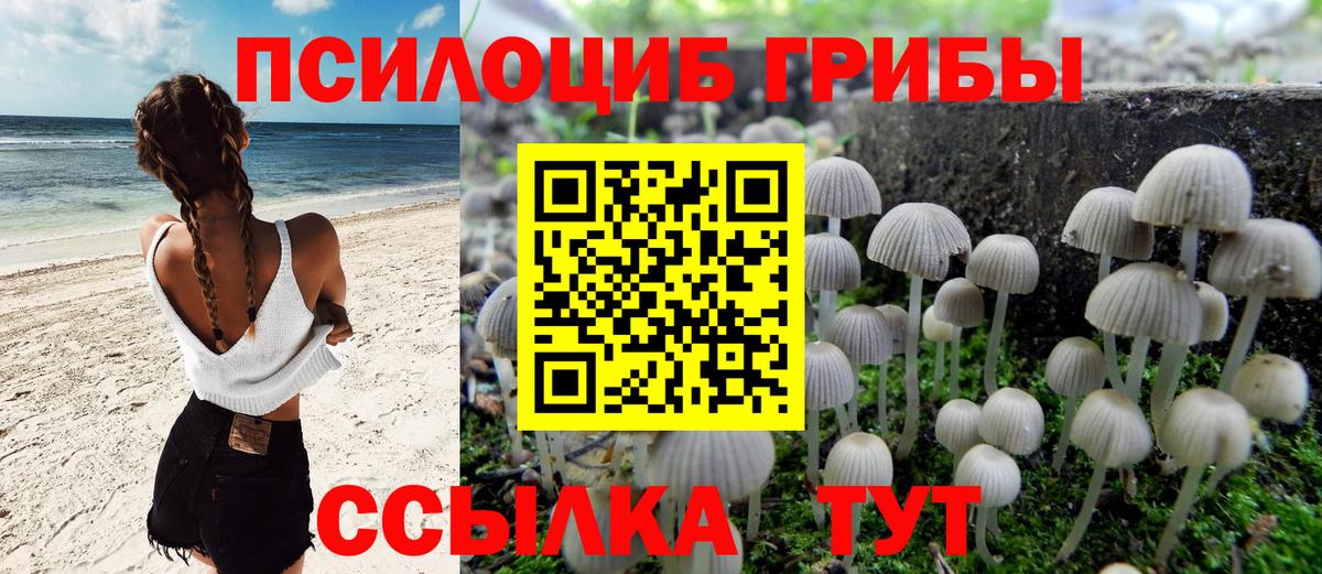 Галлюциногенные грибы GOLDEN TEACHER Междуреченск